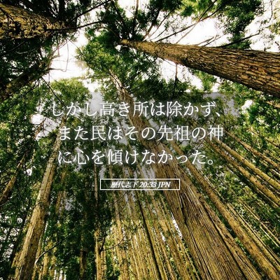 Picture 05 - 歴代志下 20:33 JPN - しかし高き所は除かず、また民はそ - Bible Verse Picture