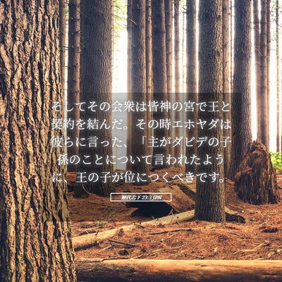 Picture 05 - 歴代志下 23:3 JPN - そしてその会衆は皆神の宮で王と契 - Bible Verse Picture