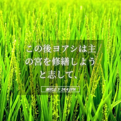Picture 05 - 歴代志下 24:4 JPN - この後ヨアシは主の宮を修繕しよう - Bible Verse Picture