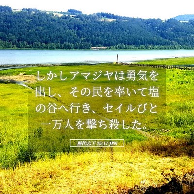 Picture 05 - 歴代志下 25:11 JPN - しかしアマジヤは勇気を出し、その - Bible Verse Picture