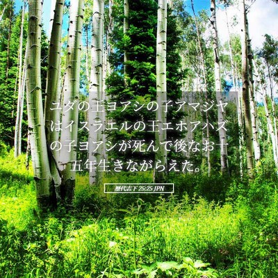 Picture 05 - 歴代志下 25:25 JPN - ユダの王ヨアシの子アマジヤはイス - Bible Verse Picture
