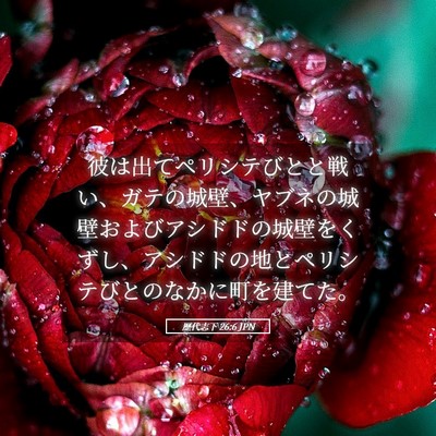 Picture 05 - 歴代志下 26:6 JPN - 彼は出てペリシテびとと戦い、ガテ - Bible Verse Picture