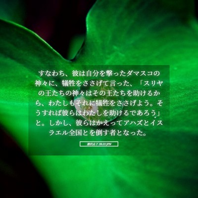 Picture 05 - 歴代志下 28:23 JPN - すなわち、彼は自分を撃ったダマス - Bible Verse Picture