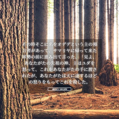 Picture 05 - 歴代志下 28:9 JPN - その時そこに名をオデデという主の - Bible Verse Picture