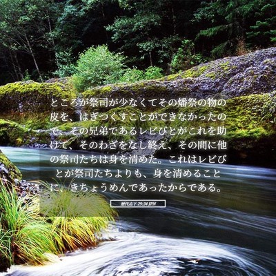 Picture 05 - 歴代志下 29:34 JPN - ところが祭司が少なくてその燔祭の - Bible Verse Picture