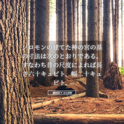 Picture 05 - 歴代志下 3:3 JPN - ソロモンの建てた神の宮の基の寸法 - Bible Verse Picture