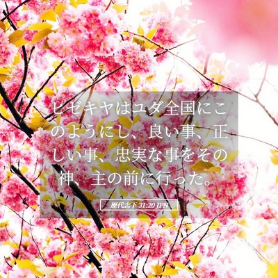 Picture 05 - 歴代志下 31:20 JPN - ヒゼキヤはユダ全国にこのようにし - Bible Verse Picture