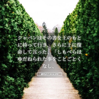 Picture 05 - 歴代志下 34:16 JPN - シャパンはその書を王のもとに持っ - Bible Verse Picture