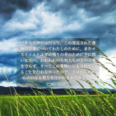Picture 05 - 歴代志下 34:21 JPN - 「あなたがたは行って、この発見さ - Bible Verse Picture