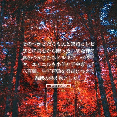 Picture 05 - 歴代志下 35:8 JPN - そのつかさたちも民と祭司とレビび - Bible Verse Picture
