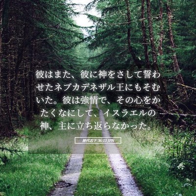 Picture 05 - 歴代志下 36:13 JPN - 彼はまた、彼に神をさして誓わせた - Bible Verse Picture