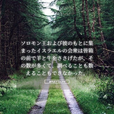 Picture 05 - 歴代志下 5:6 JPN - ソロモン王および彼のもとに集まっ - Bible Verse Picture