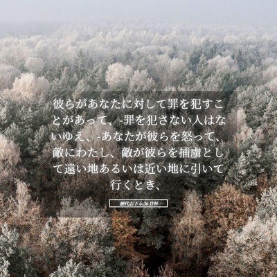 Picture 05 - 歴代志下 6:36 JPN - 彼らがあなたに対して罪を犯すこと - Bible Verse Picture