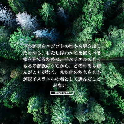 Picture 05 - 歴代志下 6:5 JPN - 『わが民をエジプトの地から導き出 - Bible Verse Picture