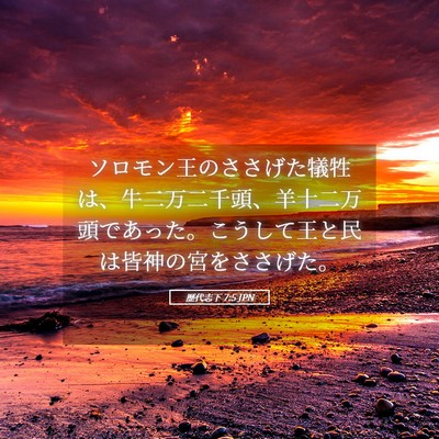 Picture 05 - 歴代志下 7:5 JPN - ソロモン王のささげた犠牲は、牛二 - Bible Verse Picture