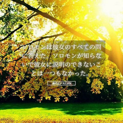 Picture 05 - 歴代志下 9:2 JPN - ソロモンは彼女のすべての問に答え - Bible Verse Picture