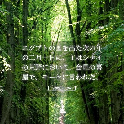 Picture 05 - 民数記 1:1 JPN - エジプトの国を出た次の年の二月一 - Bible Verse Picture