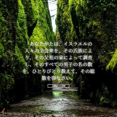 Picture 05 - 民数記 1:2 JPN - 「あなたがたは、イスラエルの人々 - Bible Verse Picture