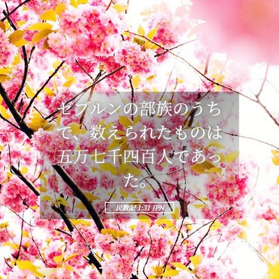 Picture 05 - 民数記 1:31 JPN - ゼブルンの部族のうちで、数えられ - Bible Verse Picture