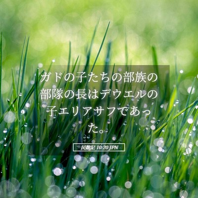 Picture 05 - 民数記 10:20 JPN - ガドの子たちの部族の部隊の長はデ - Bible Verse Picture