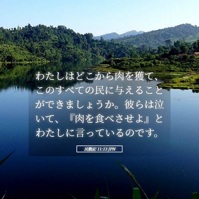 Picture 05 - 民数記 11:13 JPN - わたしはどこから肉を獲て、このす - Bible Verse Picture