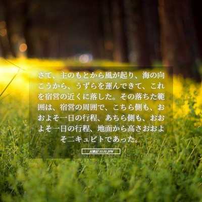 Picture 05 - 民数記 11:31 JPN - さて、主のもとから風が起り、海の - Bible Verse Picture