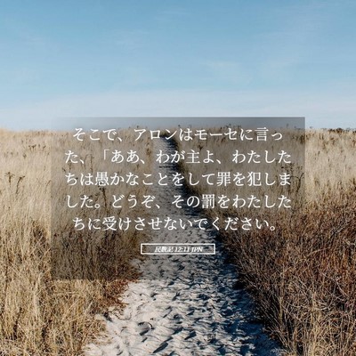 Picture 05 - 民数記 12:11 JPN - そこで、アロンはモーセに言った、 - Bible Verse Picture