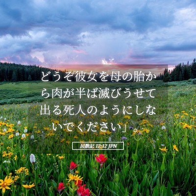 Picture 05 - 民数記 12:12 JPN - どうぞ彼女を母の胎から肉が半ば滅 - Bible Verse Picture