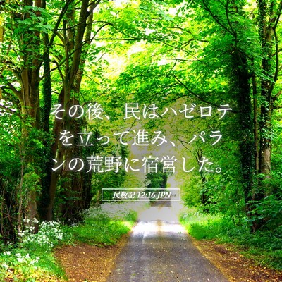 Picture 05 - 民数記 12:16 JPN - その後、民はハゼロテを立って進み - Bible Verse Picture