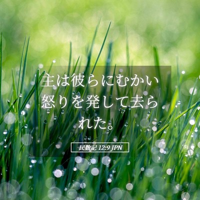 Picture 05 - 民数記 12:9 JPN - 主は彼らにむかい怒りを発して去ら - Bible Verse Picture