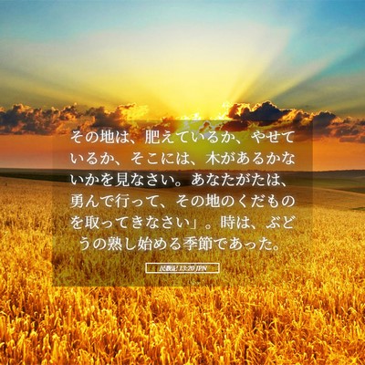 Picture 05 - 民数記 13:20 JPN - その地は、肥えているか、やせてい - Bible Verse Picture