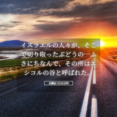 Picture 05 - 民数記 13:24 JPN - イスラエルの人々が、そこで切り取 - Bible Verse Picture