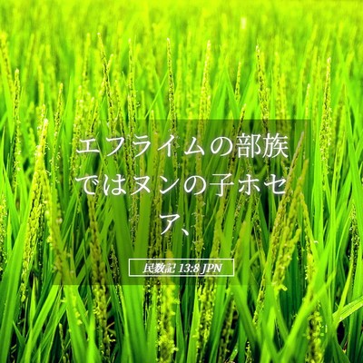Picture 05 - 民数記 13:8 JPN - エフライムの部族ではヌンの子ホセ - Bible Verse Picture