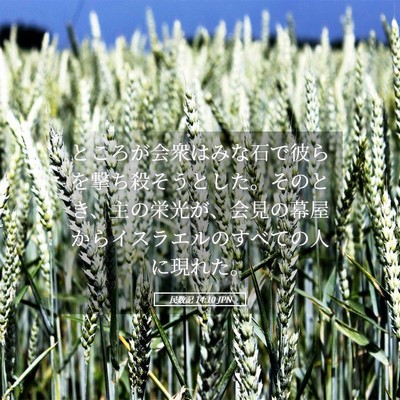 Picture 05 - 民数記 14:10 JPN - ところが会衆はみな石で彼らを撃ち - Bible Verse Picture