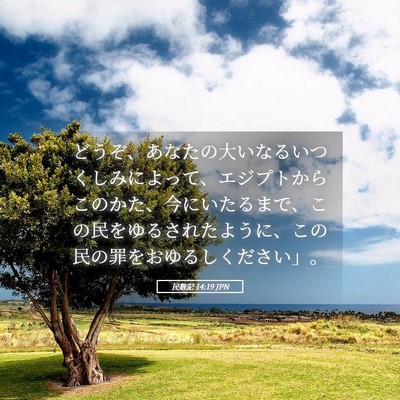 Picture 05 - 民数記 14:19 JPN - どうぞ、あなたの大いなるいつくし - Bible Verse Picture