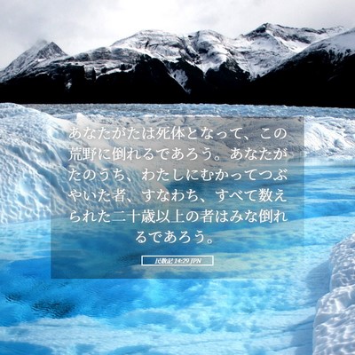 Picture 05 - 民数記 14:29 JPN - あなたがたは死体となって、この荒 - Bible Verse Picture