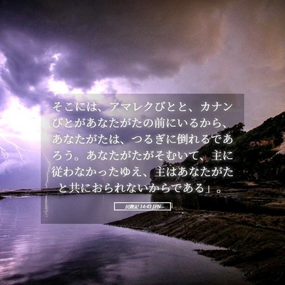 Picture 05 - 民数記 14:43 JPN - そこには、アマレクびとと、カナン - Bible Verse Picture