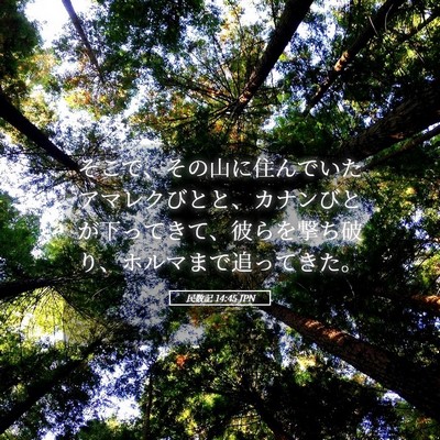 Picture 05 - 民数記 14:45 JPN - そこで、その山に住んでいたアマレ - Bible Verse Picture
