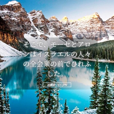 Picture 05 - 民数記 14:5 JPN - そこで、モーセとアロンはイスラエ - Bible Verse Picture
