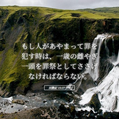 Picture 05 - 民数記 15:27 JPN - もし人があやまって罪を犯す時は、 - Bible Verse Picture