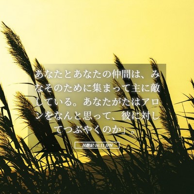 Picture 05 - 民数記 16:11 JPN - あなたとあなたの仲間は、みなその - Bible Verse Picture
