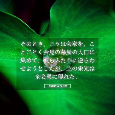 Picture 05 - 民数記 16:19 JPN - そのとき、コラは会衆を、ことごと - Bible Verse Picture