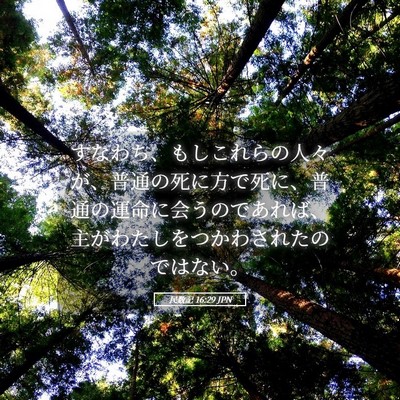 Picture 05 - 民数記 16:29 JPN - すなわち、もしこれらの人々が、普é€ - Bible Verse Picture