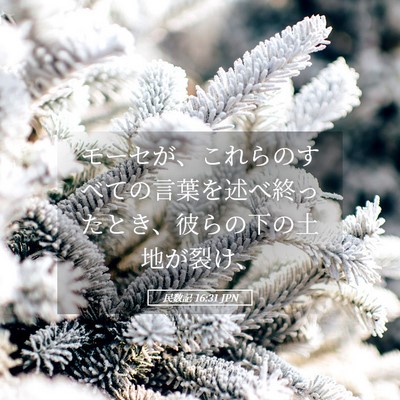 Picture 05 - 民数記 16:31 JPN - モーセが、これらのすべての言葉を - Bible Verse Picture