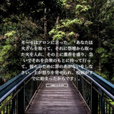 Picture 05 - 民数記 16:46 JPN - モーセはアロンに言った、「あなた - Bible Verse Picture