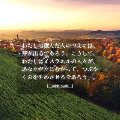 Picture 05 - 民数記 17:5 JPN - わたしの選んだ人のつえには、芽が - Bible Verse Picture
