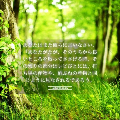 Picture 05 - 民数記 18:30 JPN - あなたはまた彼らに言いなさい、『 - Bible Verse Picture