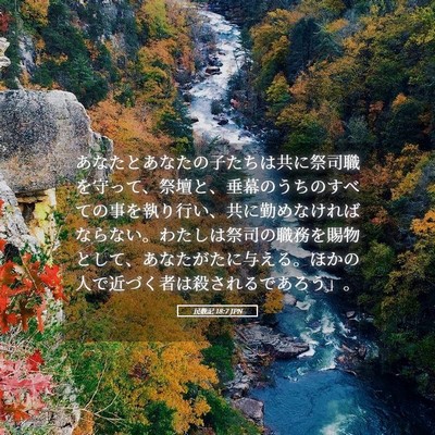 Picture 05 - 民数記 18:7 JPN - あなたとあなたの子たちは共に祭司 - Bible Verse Picture