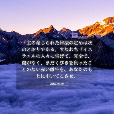 Picture 05 - 民数記 19:2 JPN - 「主の命じられた律法の定めは次の - Bible Verse Picture