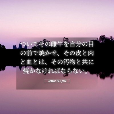Picture 05 - 民数記 19:5 JPN - ついでその雌牛を自分の目の前で焼 - Bible Verse Picture